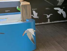 Vogeltentoonstelling De Stern
